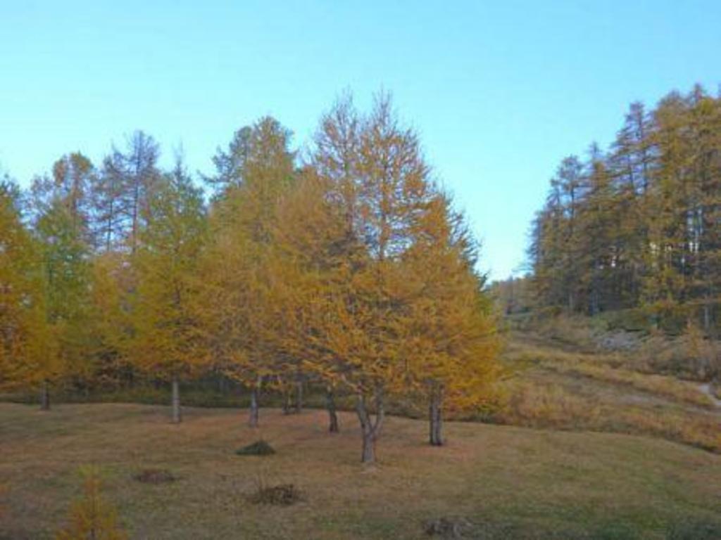 Appartement L'eperviere 344